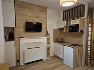Studio cosy 17m², proche télécabine, 2/4 pers, parking - FR-1-234-351 - 2