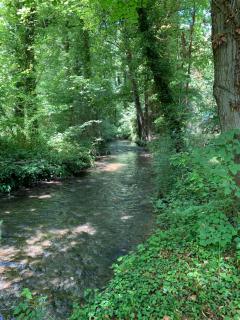 Domaine des Moinets - 5