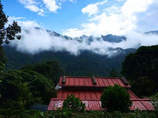 Silent Valley- Alchauna along river Kalsa - 1