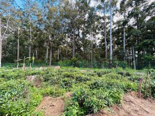 Oxygen Place Ella - 4