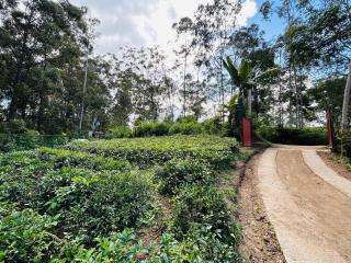 Oxygen Place Ella - 3