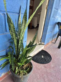 O Rancho na Praia - 5