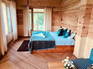 The nature view A shape tree cottage - 4