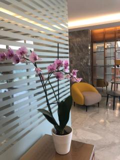 Grey Apartment Lebanon by Grey pearls - 8