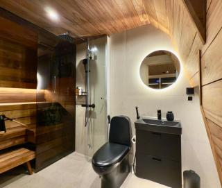 Levi Lapland Luxury Igloos C - 2