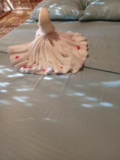 El Hermosa Bice Camp - 3