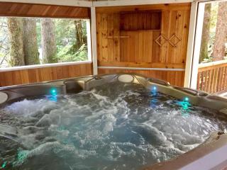 66SL - Hot Tub - WiFi - 3 Bedroom - Sleeps 10 home - 9