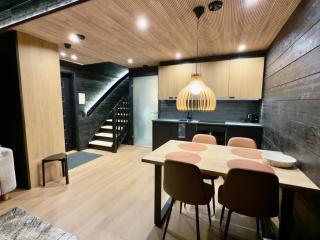 Levi Lapland Luxury Igloos B - 4