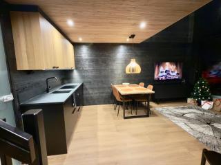 Levi Lapland Luxury Igloos B - 3