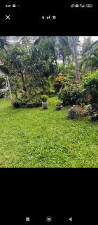 Udawalawe safari hotel - 8