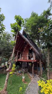 Sigiri Hunter's Eco Tree lodge - 0