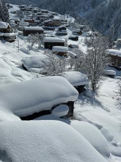 Ayder Villa de Pelit Hotel - 2