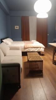 REDCO FOUR SEASONS in NEW GUDAURI 425 - 4