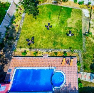 Hotel Jungle Palace Resort - 5