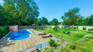 Hotel Jungle Palace Resort - 4