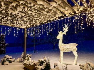 KOASA HOF Bed and Breakfast - 7