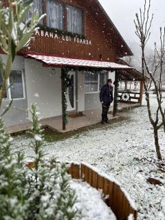 Cabana lui Foardă - 2