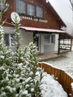 Cabana lui Foardă - 5