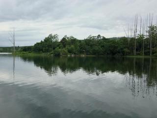 Kruger Island Resort - 2