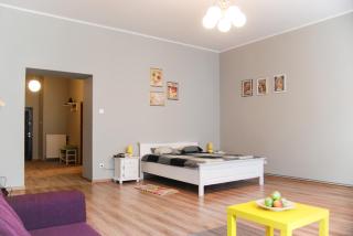 Apartment City Centre Timisoara - Timişoara - 9