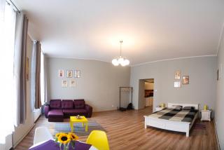Apartment City Centre Timisoara - Timişoara - 6