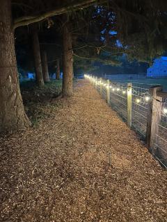 Creek-side Retreat - Glamping - 6