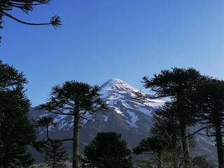 Cabaña Pocolpen - 8