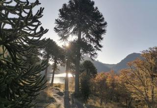 Cabaña Pocolpen - 9