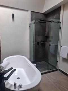 Esplendor by Wyndham San Luis Potosi - 1