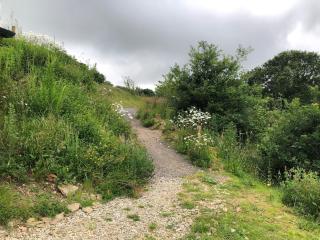 Rabbits ,2 bedroom hobbit style hillset Dartmoor with views - 9