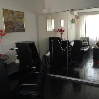 SkyView-Ateneu-Sala Palatului - 3