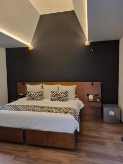 Esplendor by Wyndham San Luis Potosi - 2