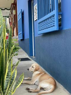 Hotel Casa Azul Jardín - 6