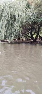 Arriendo cabaña Rio Huaqui - 6