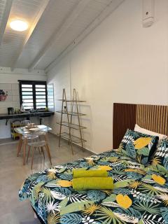 D O M A I N E D E L' A N S E - P I S T O L E T - Proche Grande Vigie, Vue Unique - 1