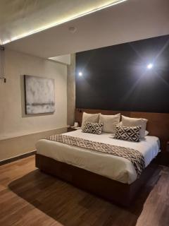 Esplendor by Wyndham San Luis Potosi - 4