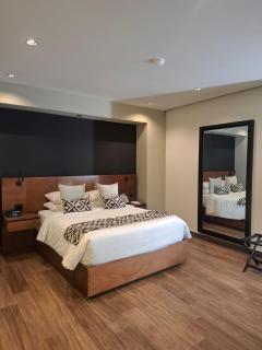 Esplendor by Wyndham San Luis Potosi - 8