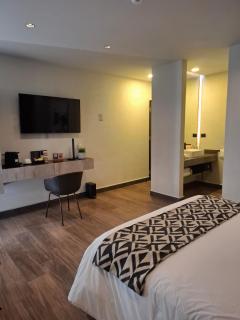 Esplendor by Wyndham San Luis Potosi - 7