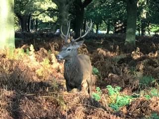 Stables, 2 bed, Private Eco House, Dartmoor - 8