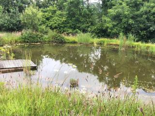 Stables, 2 bed, Private Eco House, Dartmoor - 7