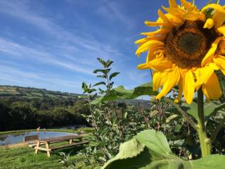 Stables, 1 Bed, Private, Ecolodge, Edge Dartmoor - 5