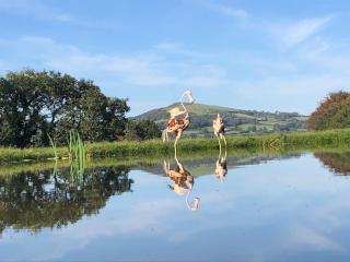 Stables, 1 Bed, Private, Ecolodge, Edge Dartmoor - 4