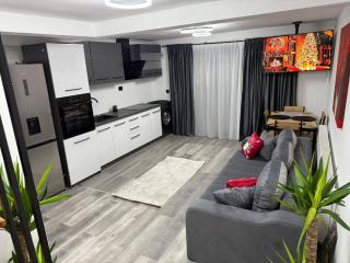Studio modern,ideal pentru 2 cupluri sau o familie cu 2 copii - 4