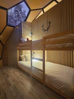 SKOG - Aurora Igloos Resort - 2