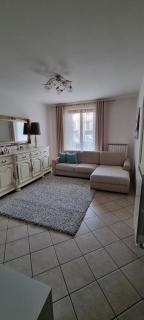 Luminoso e accogliente - 6