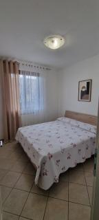 Luminoso e accogliente - 5