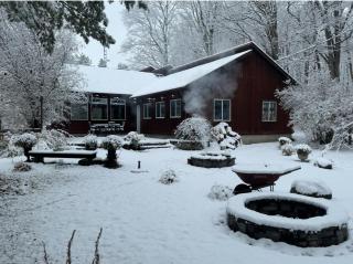 Peaceful Forest Retreat with Fire Pit and BBQ - 5