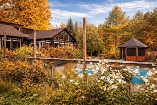 Peaceful Forest Retreat with Fire Pit and BBQ - 4