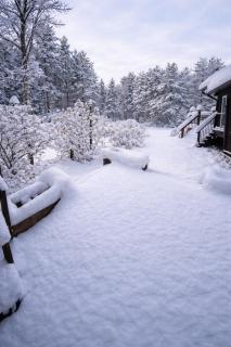 Peaceful Forest Retreat with Fire Pit and BBQ - 2