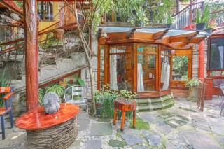 El Guajolote de Coyoacán - 7